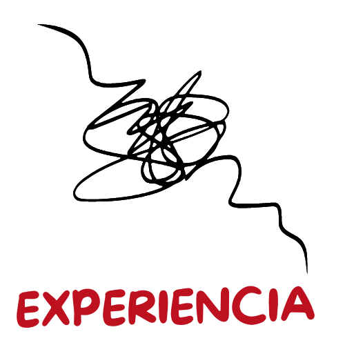 EXPERIENCIA